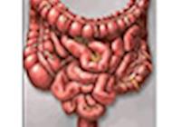 Síndrome do intestino irritável na medicina tradicional chinesa em um estudo de caso